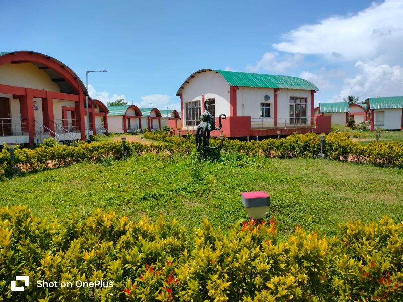 Standard Eco Camp Room