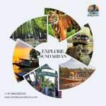 Sundarban Hilsa Festival Tour – Complete Itinerary, Inclusions & Overview