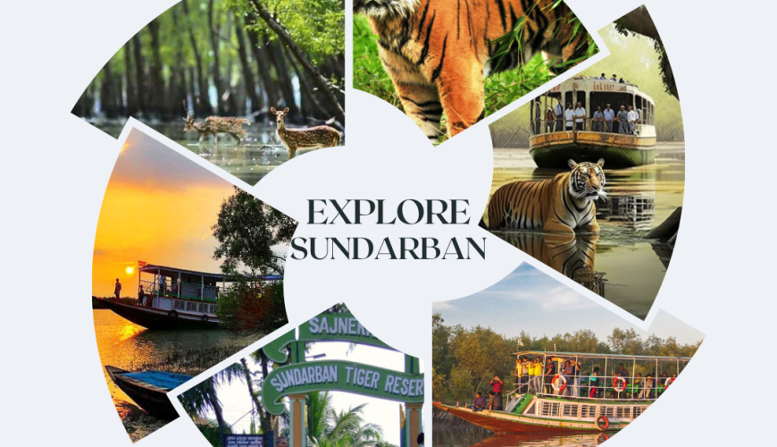 Sundarban Hilsa Festival Tour – Complete Itinerary, Inclusions & Overview