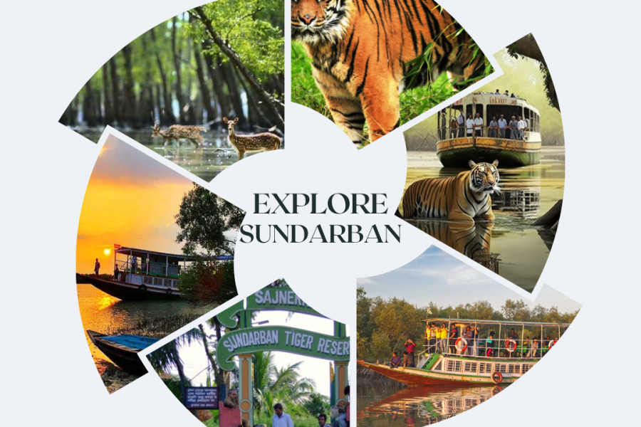 Sundarban Tour 2 Nights 3 Days