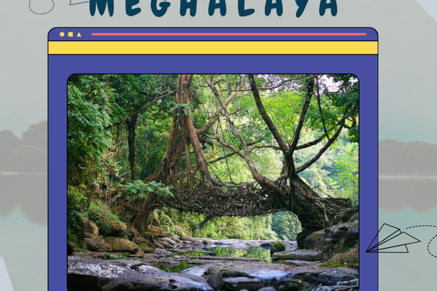 Honeymoon in Paradise: 4 Nights 5 Days Meghalaya Package